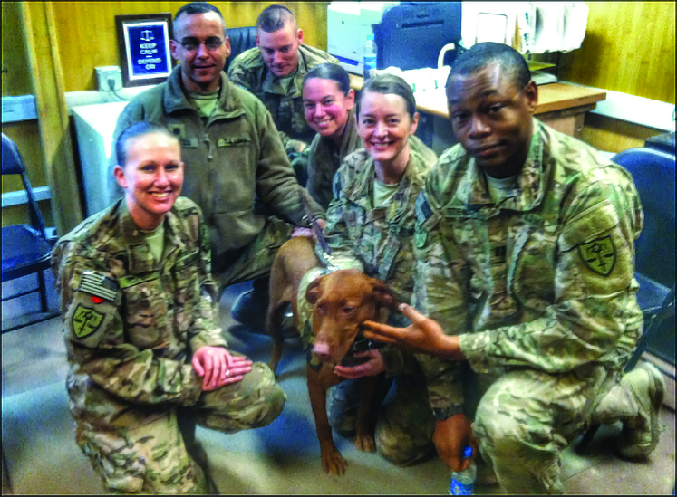 Bagram, Afghanistan (2014): Members of
            USCENTCOM TDS took part in leader professional
            development about emotional support animals in
            a deployed environment. Pictured left to right: SSG
            Kelli Pope (paralegal NCO), LTC Christopher Burgess
            (RDC), CPT Katherine (“Kat”) Flowers (DC), MAJ Mary
            Meek (SDC), and CPT Keith Stewart (DC). 
